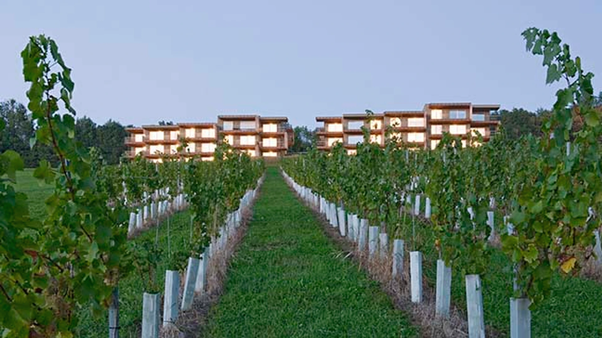 Beide Häuser der Loisium Residences hinter den Weinreben